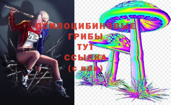 индика Алзамай