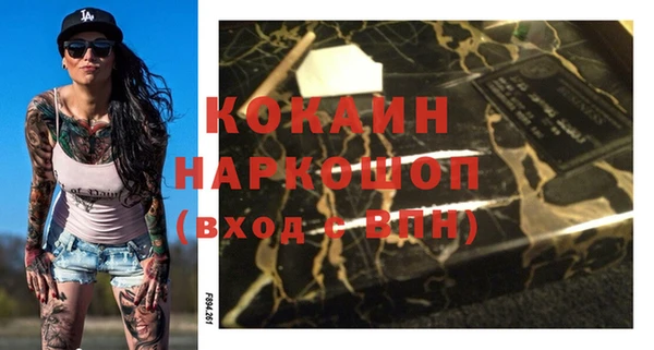 индика Алзамай