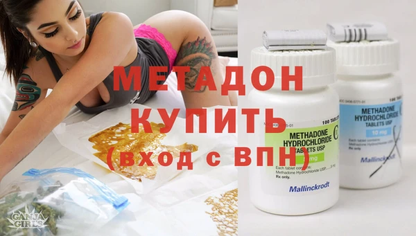 индика Алзамай