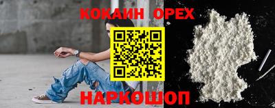 крисы Можга