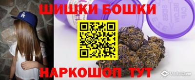 крисы Можга