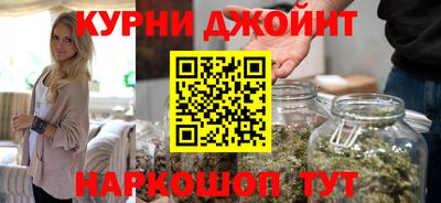 крисы Можга