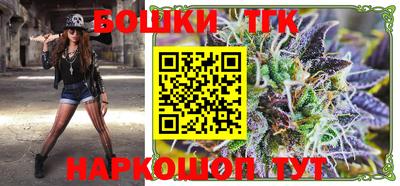 крисы Можга