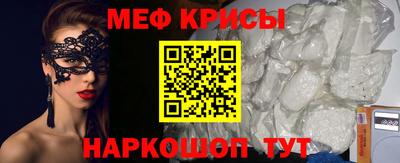 крисы Можга