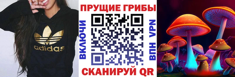 Галлюциногенные грибы GOLDEN TEACHER  мориарти какой сайт  Похвистнево 