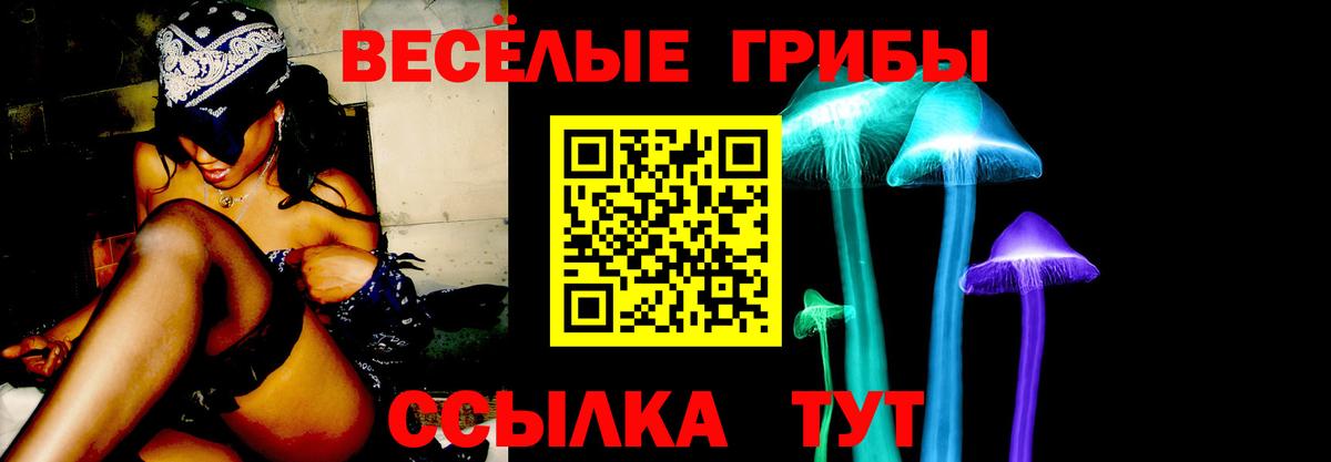 Псилоцибиновые грибы GOLDEN TEACHER Похвистнево